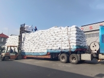 把握機(jī)遇、鉚足干勁、承勢(shì)而上