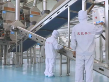 2025年的第一個(gè)月，承德亞歐果仁有限公司在山杏產(chǎn)業(yè)的道路上持續(xù)奮進(jìn)，展現(xiàn)出蓬勃的發(fā)展活力。